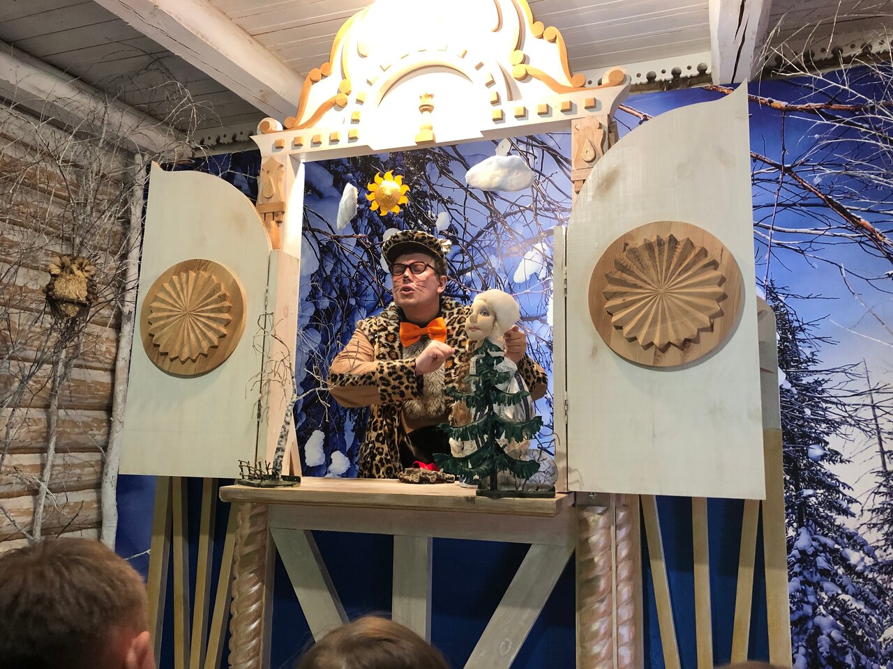 Гостиница Снегурочка Кострома-245