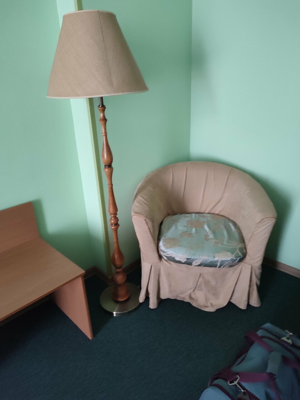 Гостиница Снегурочка Кострома-220