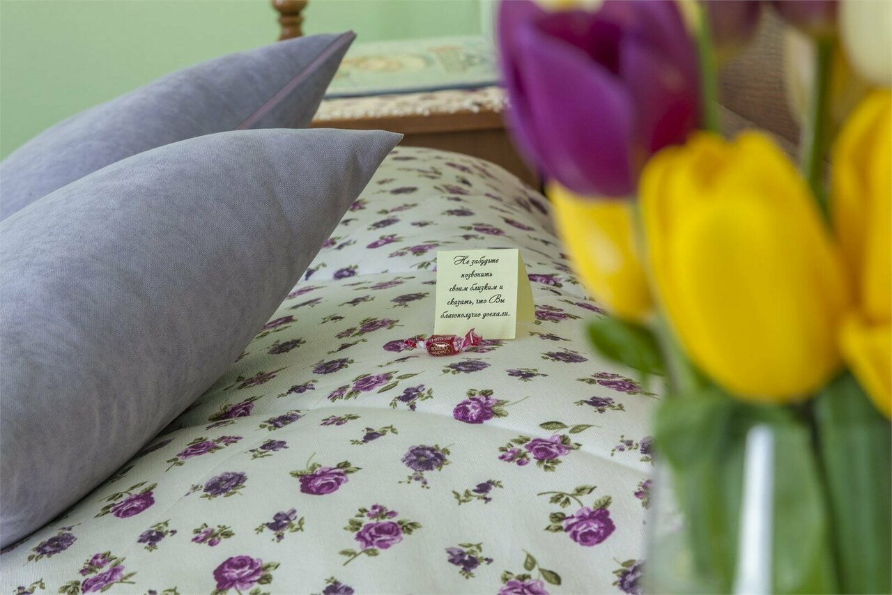 Гостиница Снегурочка Кострома