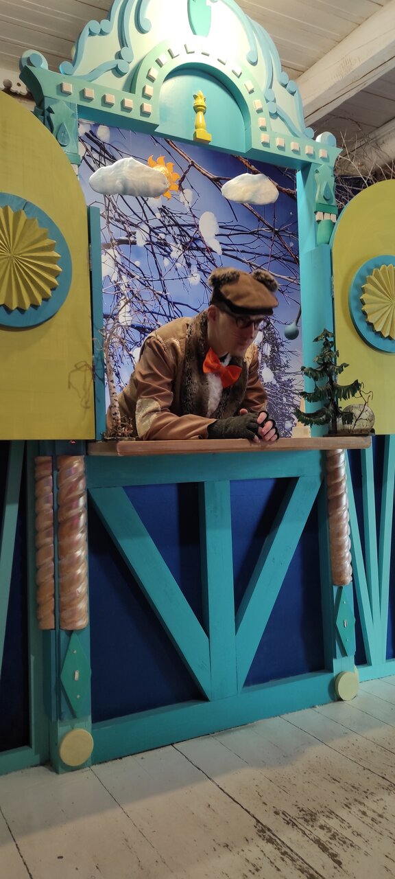 Гостиница Снегурочка Кострома-228