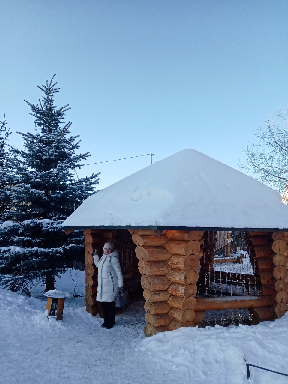 Гостиница Снегурочка Кострома-87