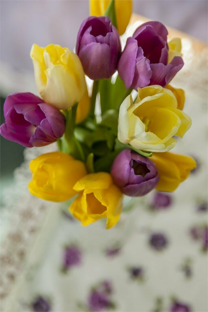 Гостиница Снегурочка Кострома