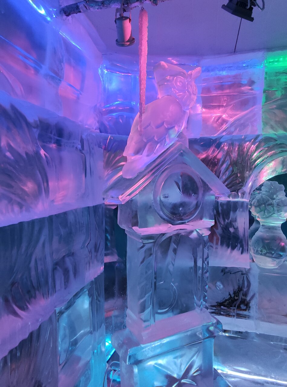 Гостиница Снегурочка Кострома-230