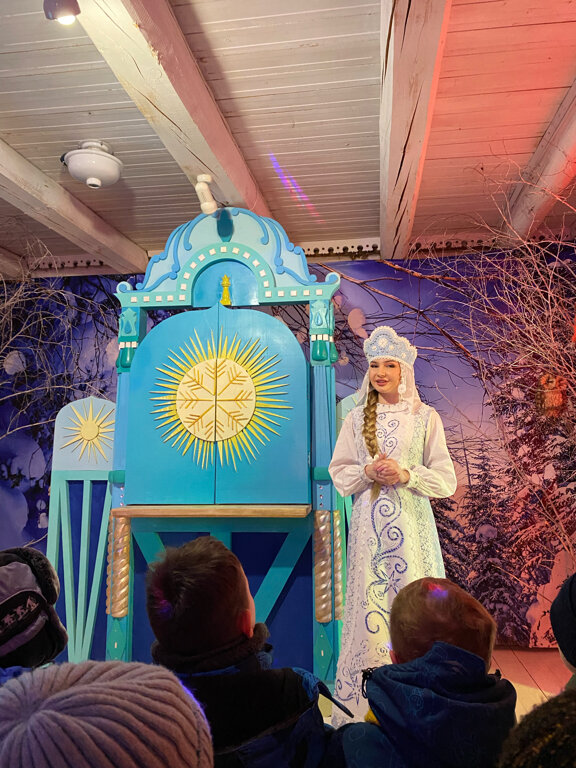 Гостиница Снегурочка Кострома-204