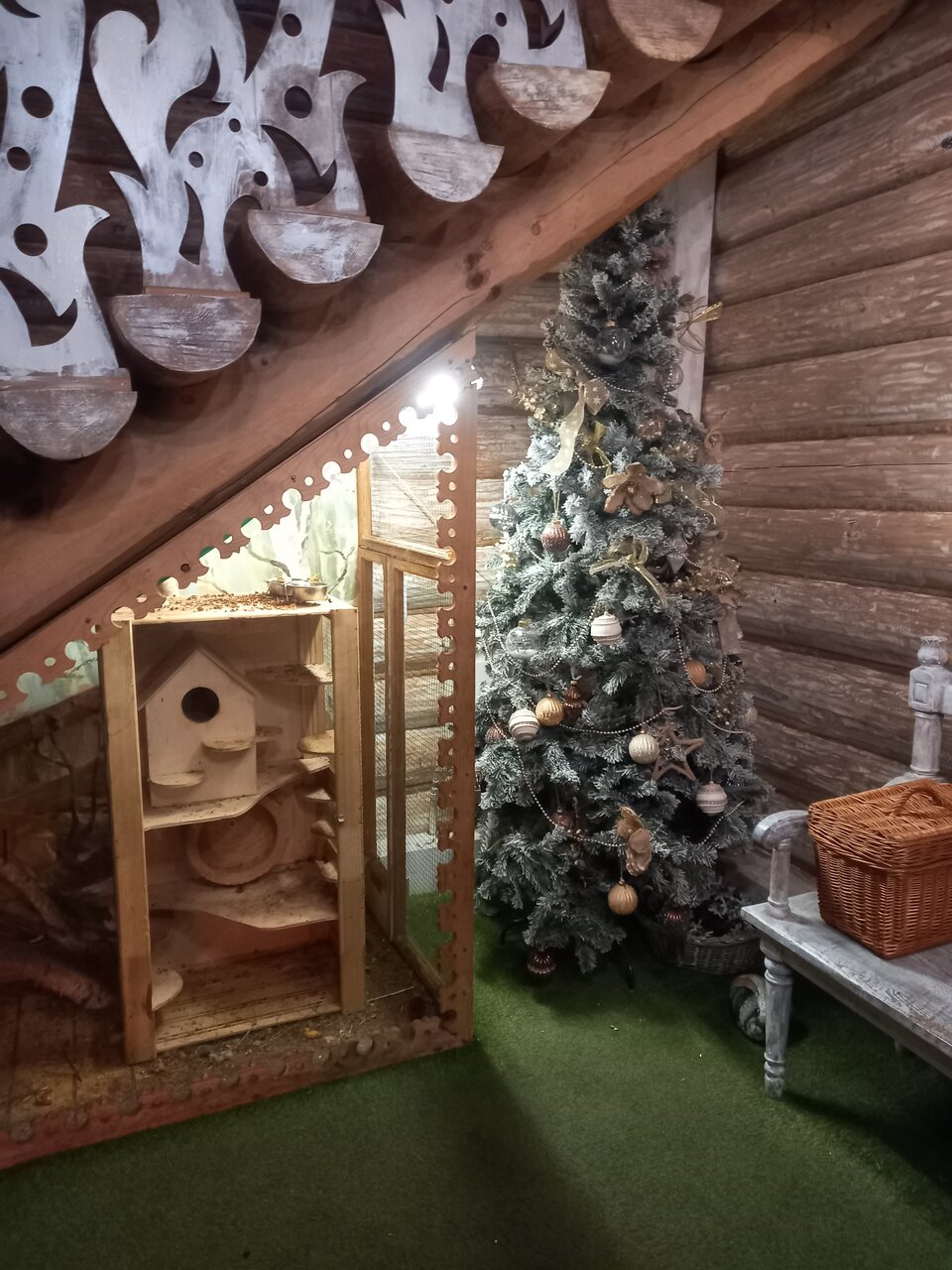 Гостиница Снегурочка Кострома-125