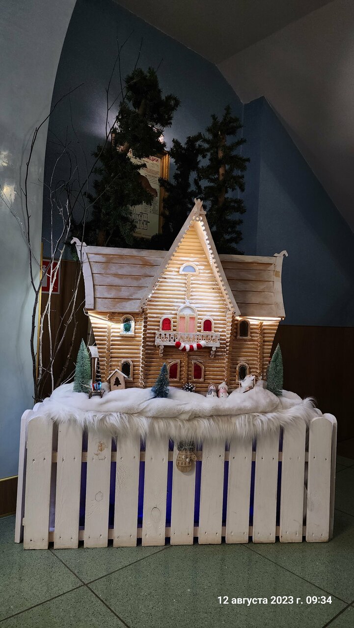 Гостиница Снегурочка Кострома-227