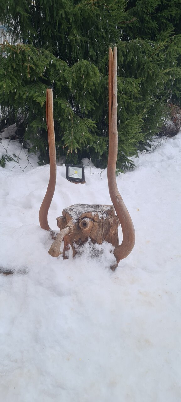 Гостиница Снегурочка Кострома-248