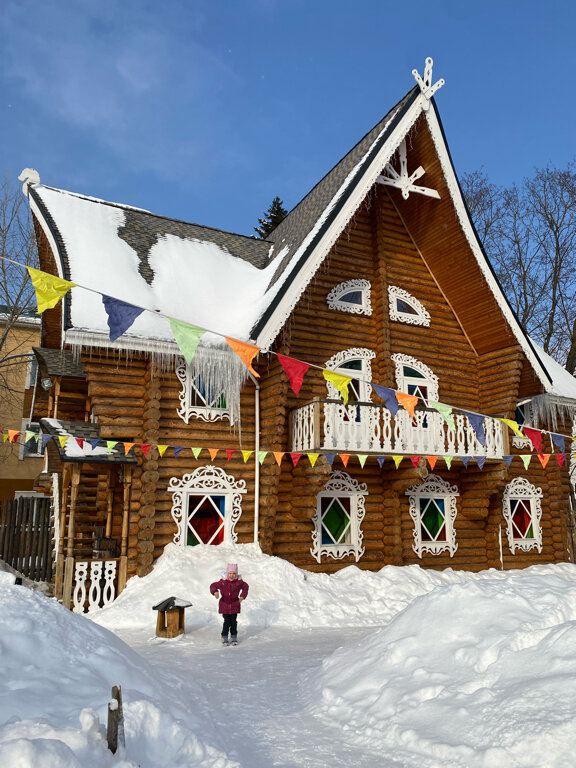 Гостиница Снегурочка Кострома-109