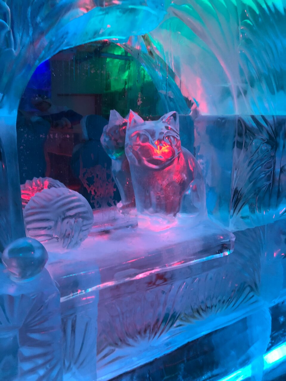 Гостиница Снегурочка Кострома-186