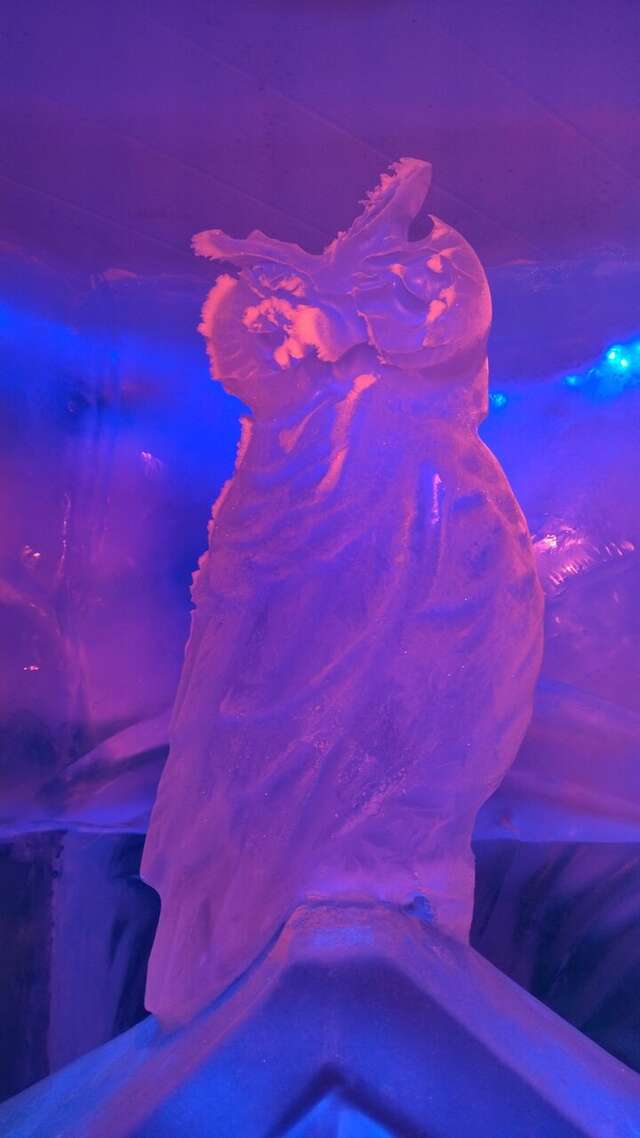 Гостиница Снегурочка Кострома-241