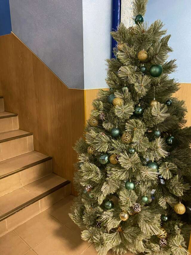 Гостиница Снегурочка Кострома-173