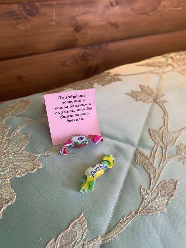 Гостиница Снегурочка Кострома-248