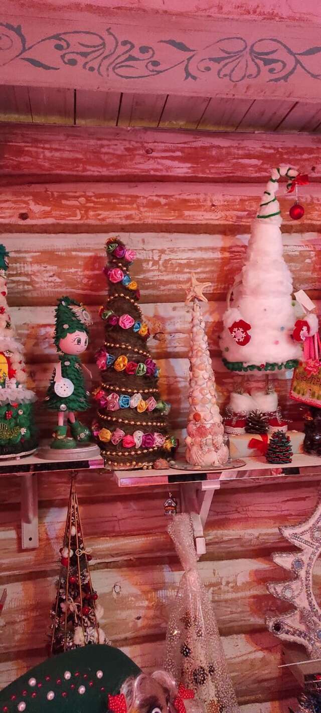 Гостиница Снегурочка Кострома-246