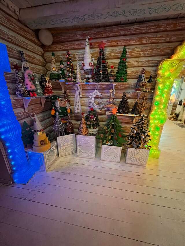 Гостиница Снегурочка Кострома-189