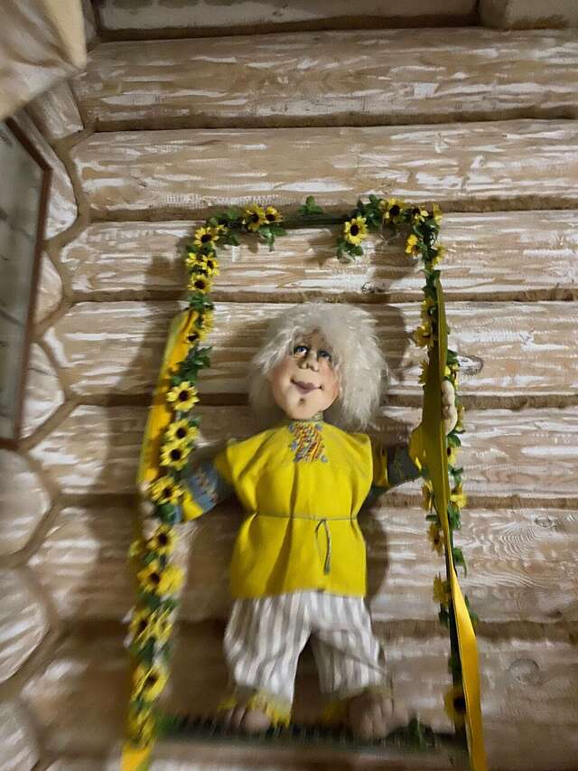 Гостиница Снегурочка Кострома-182