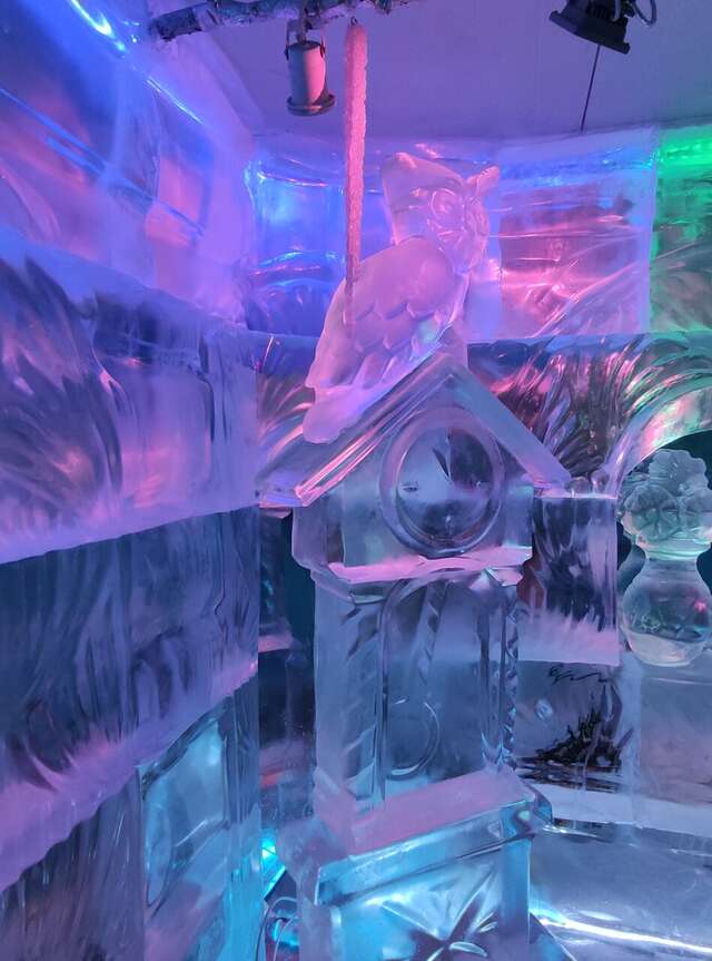 Гостиница Снегурочка Кострома-229