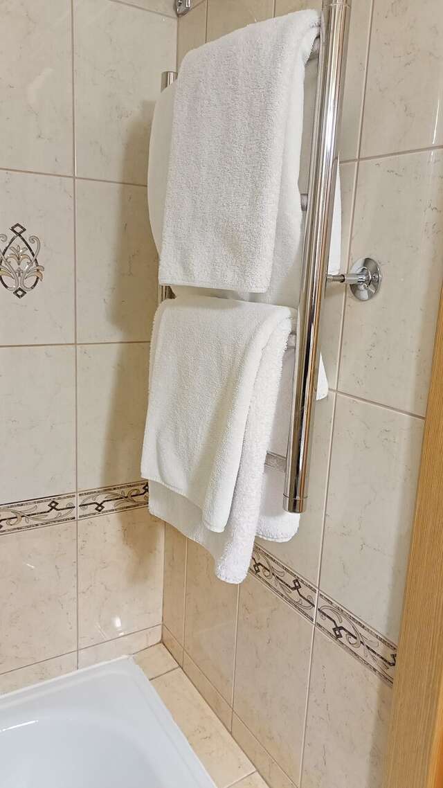 Гостиница Снегурочка Кострома-231