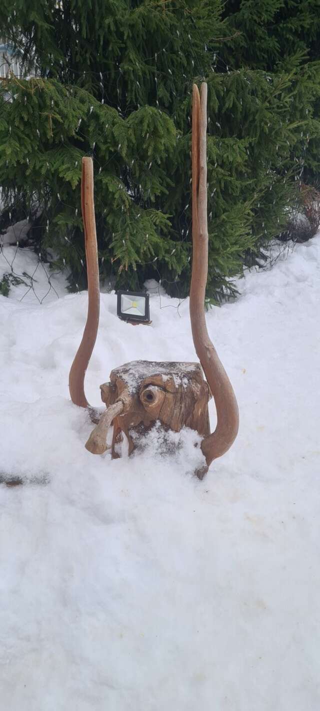 Гостиница Снегурочка Кострома-247