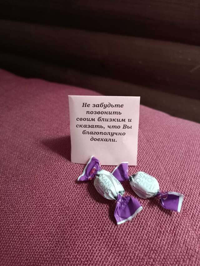 Гостиница Снегурочка Кострома-214