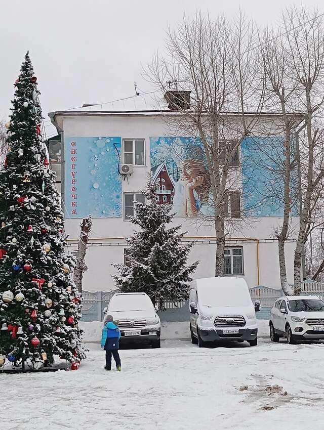 Гостиница Снегурочка Кострома-59