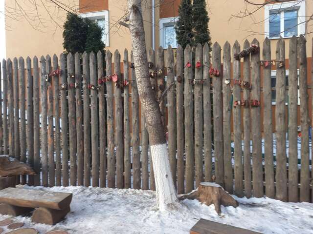 Гостиница Снегурочка Кострома-212