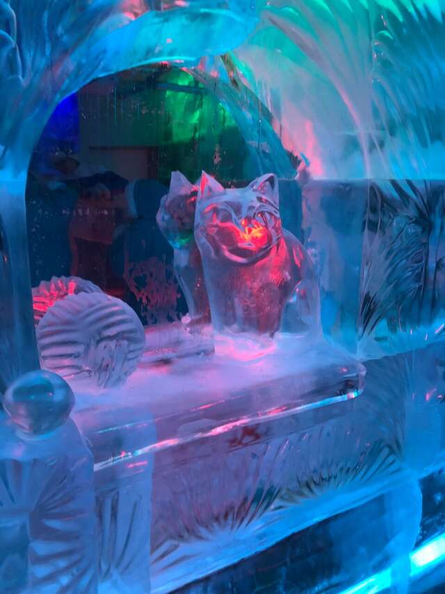 Гостиница Снегурочка Кострома-185